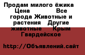 Продам милого ёжика › Цена ­ 10 000 - Все города Животные и растения » Другие животные   . Крым,Гвардейское